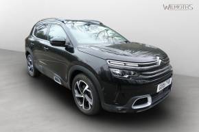 CITROEN C5 AIRCROSS 2019 (19) at Wilmoths Ashford