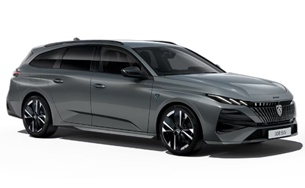 New 308 SW
